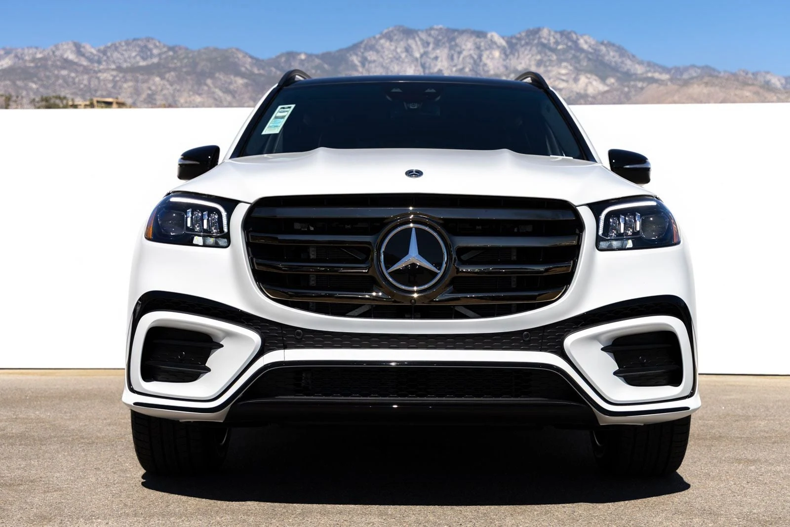 2026 Mercedes-Benz GLS 450 4MATIC (X167), 4/20