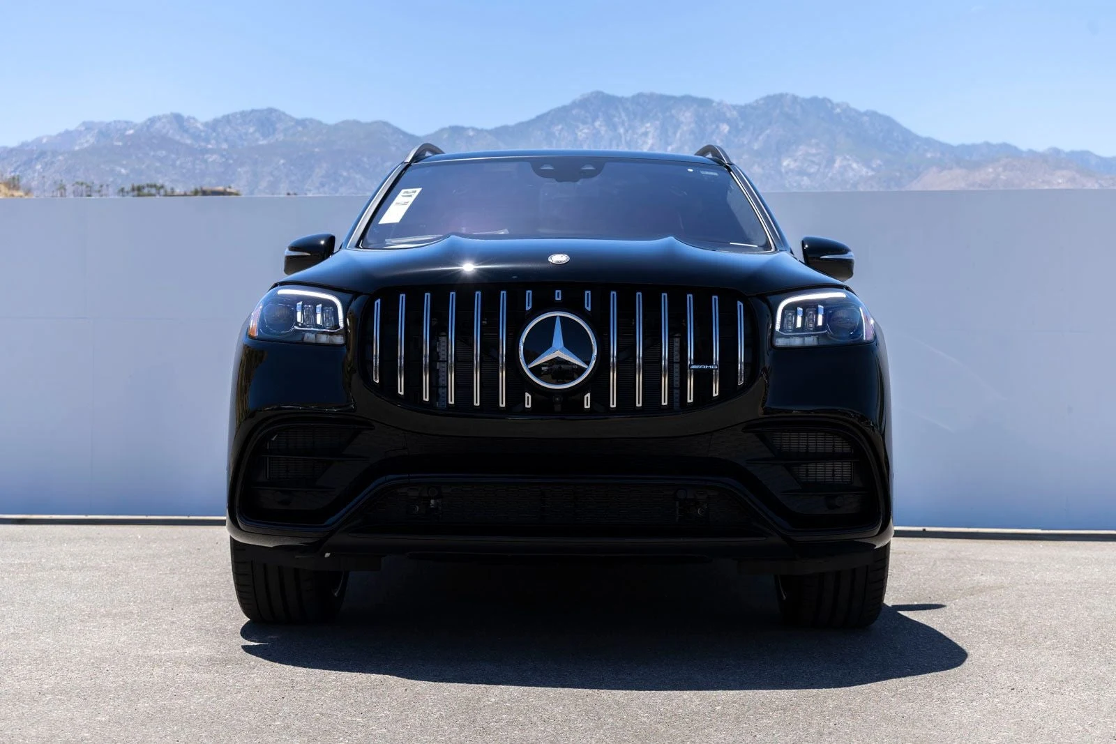 2026 Mercedes-Benz AMG GLS 63 4MATIC (X167), 4/20