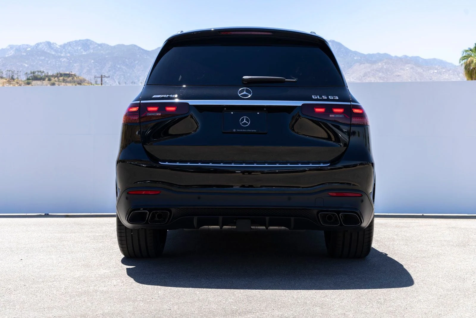 2026 Mercedes-Benz AMG GLS 63 4MATIC (X167), 9/20
