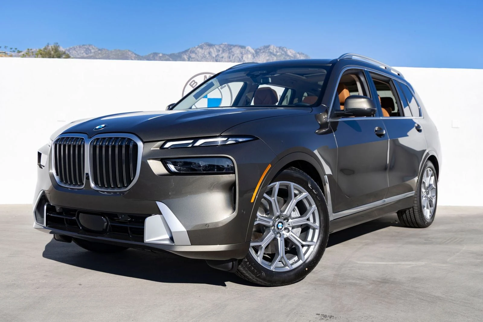 2027 BMW X7 xDrive40i (G07), 8/20