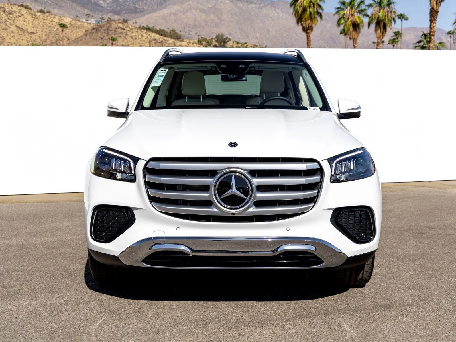2026 Mercedes-Benz GLS 450 4MATIC (X167), 3/20