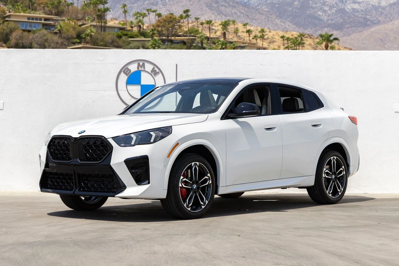 BMW X2 xDrive28i (U10) · Alpine White · Indigo Auto Group