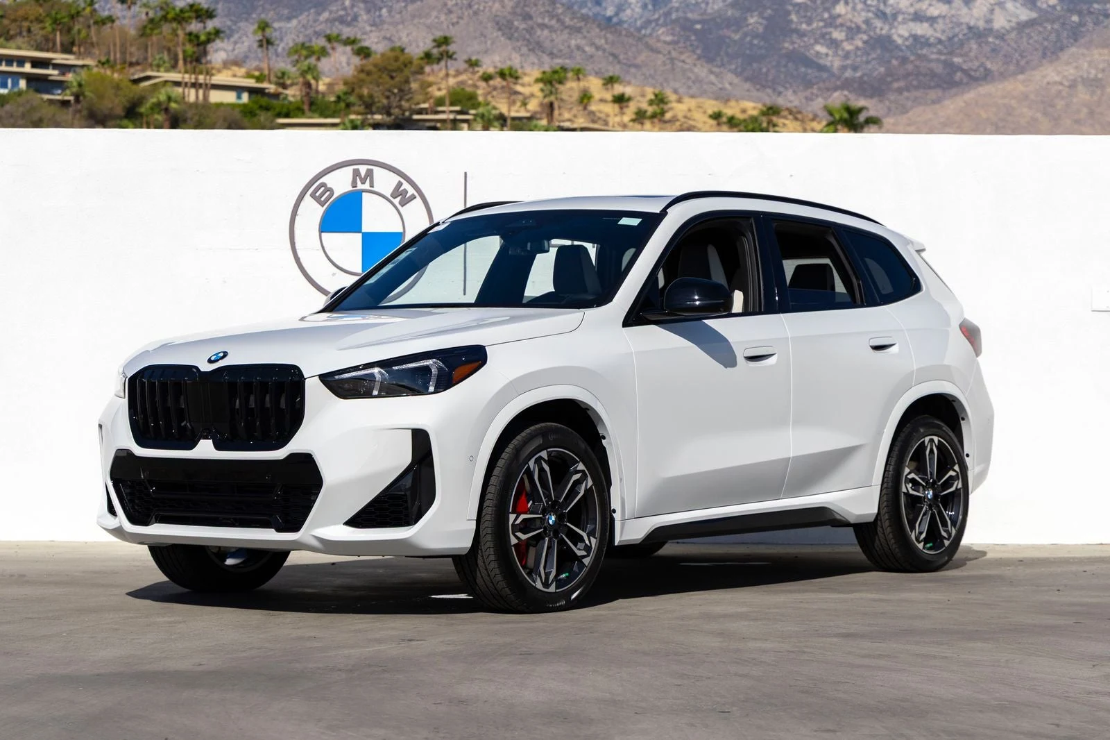 BMW X1 xDrive28i (U11) · Alpine White · Indigo Auto Group