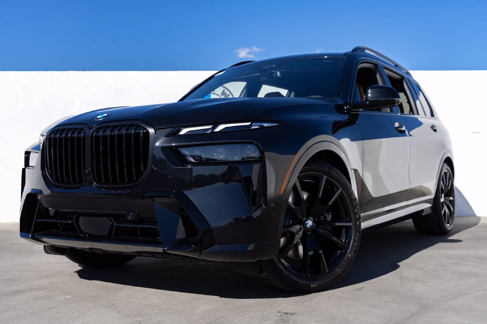 2027 BMW X7 xDrive40i (G07), 8/20