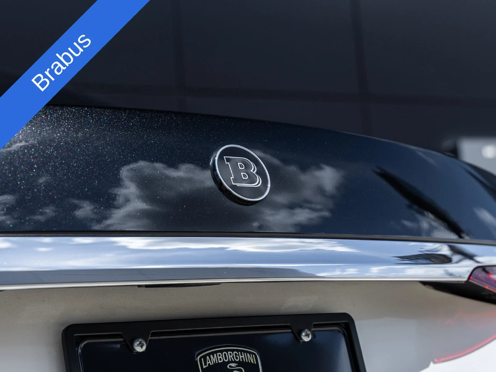 2023 Mercedes-Benz Mercedes-Maybach S 580 4MATIC BRABUS (W223), 13/20