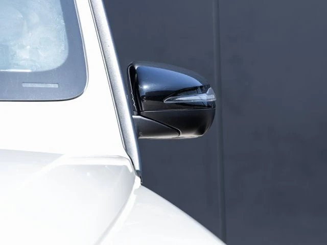 2020 Mercedes-Benz AMG G 63 (W463 2nd Generation), 15/20