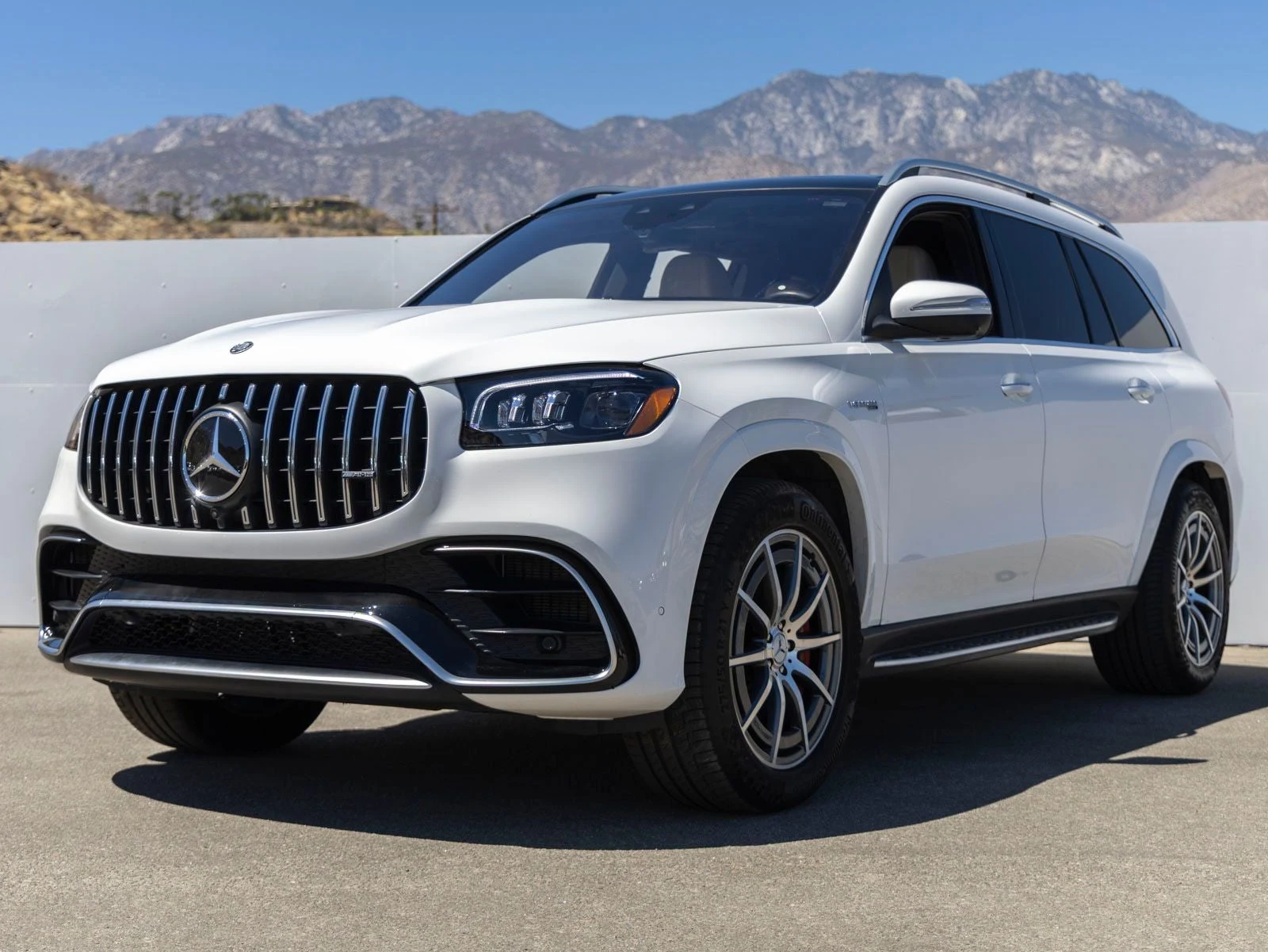 2025 Mercedes-Benz AMG GLS 63 4MATIC (X167), 2/20