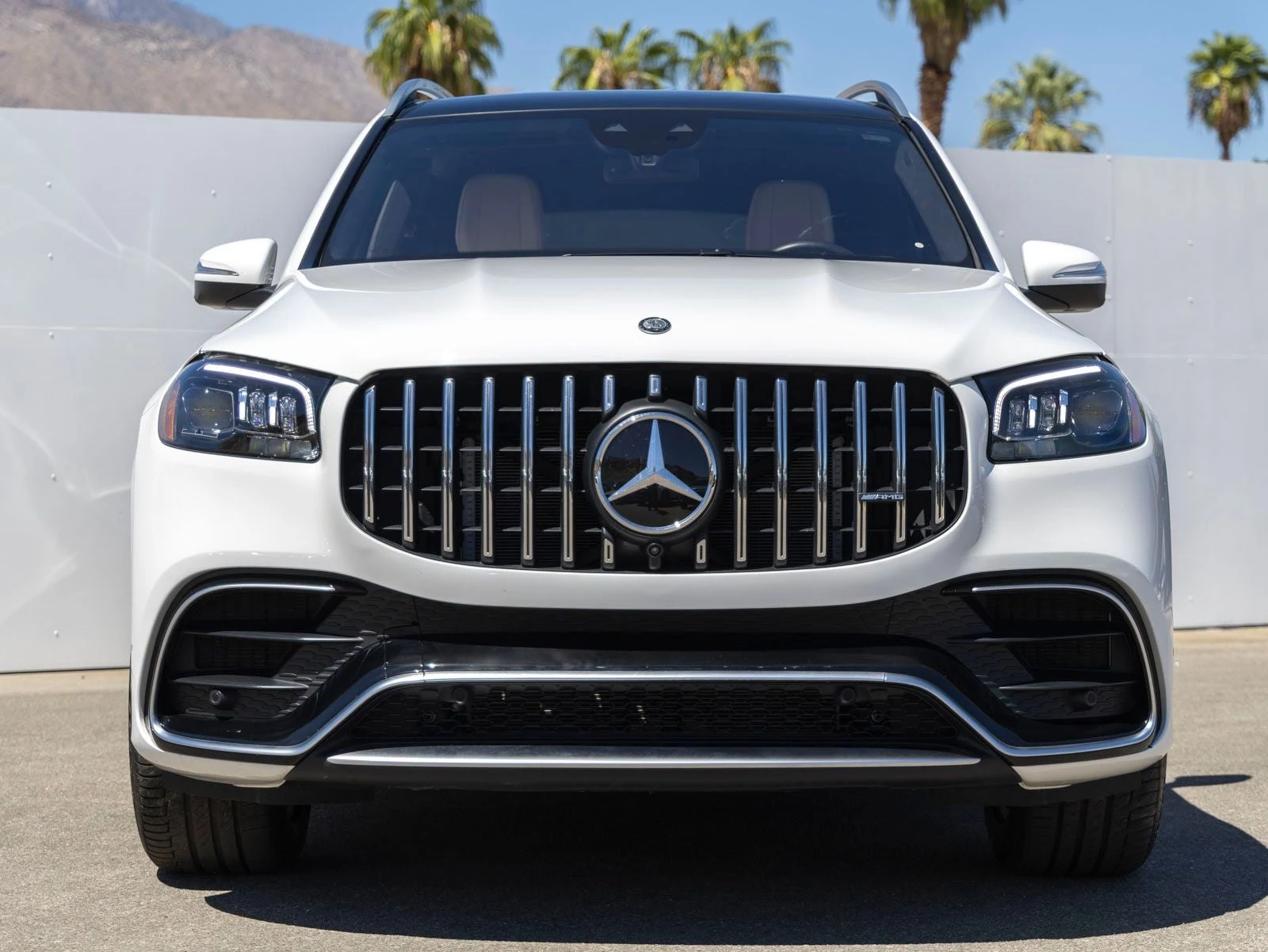 2025 Mercedes-Benz AMG GLS 63 4MATIC (X167), 4/20