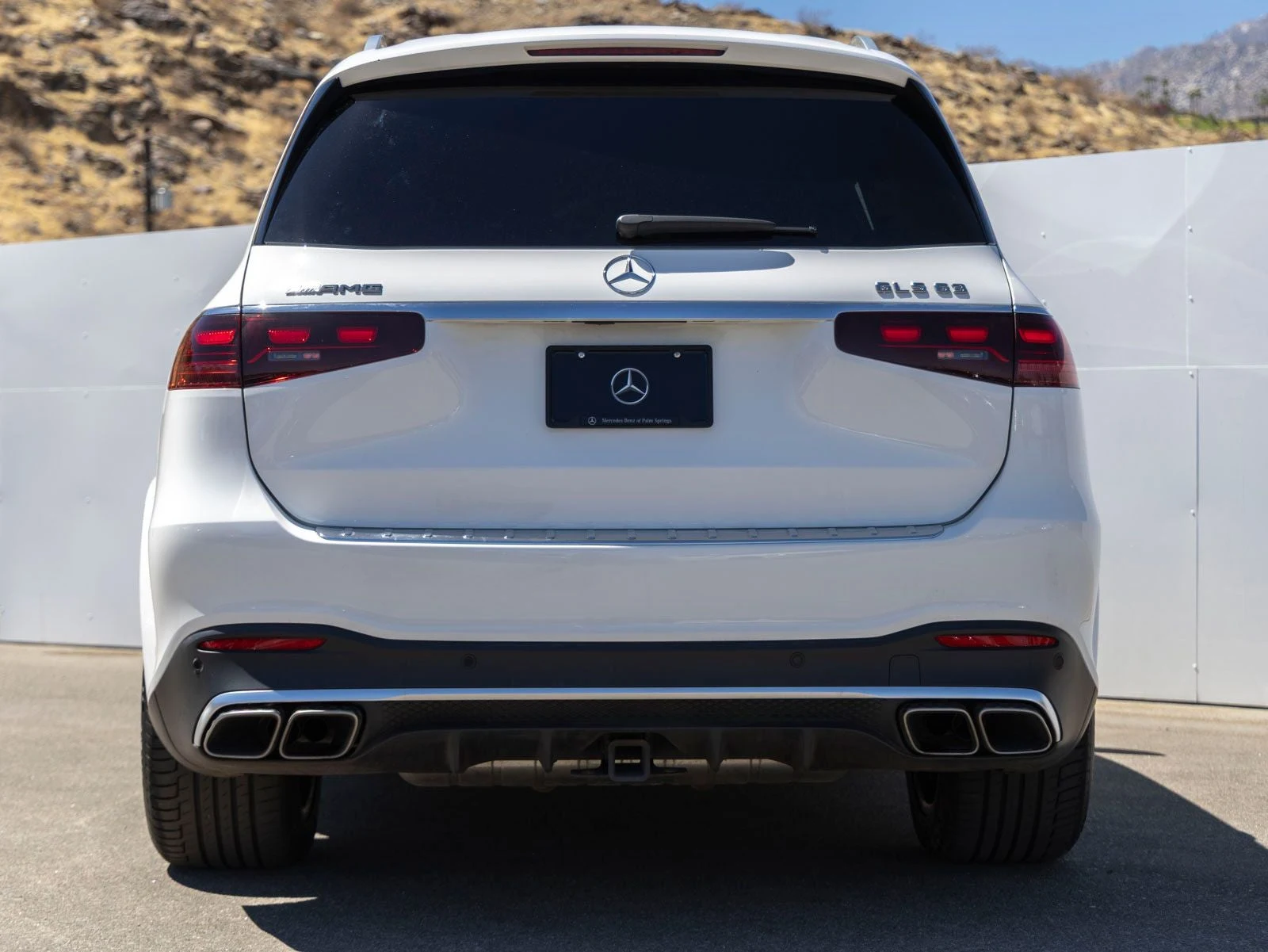 2025 Mercedes-Benz AMG GLS 63 4MATIC (X167), 7/20