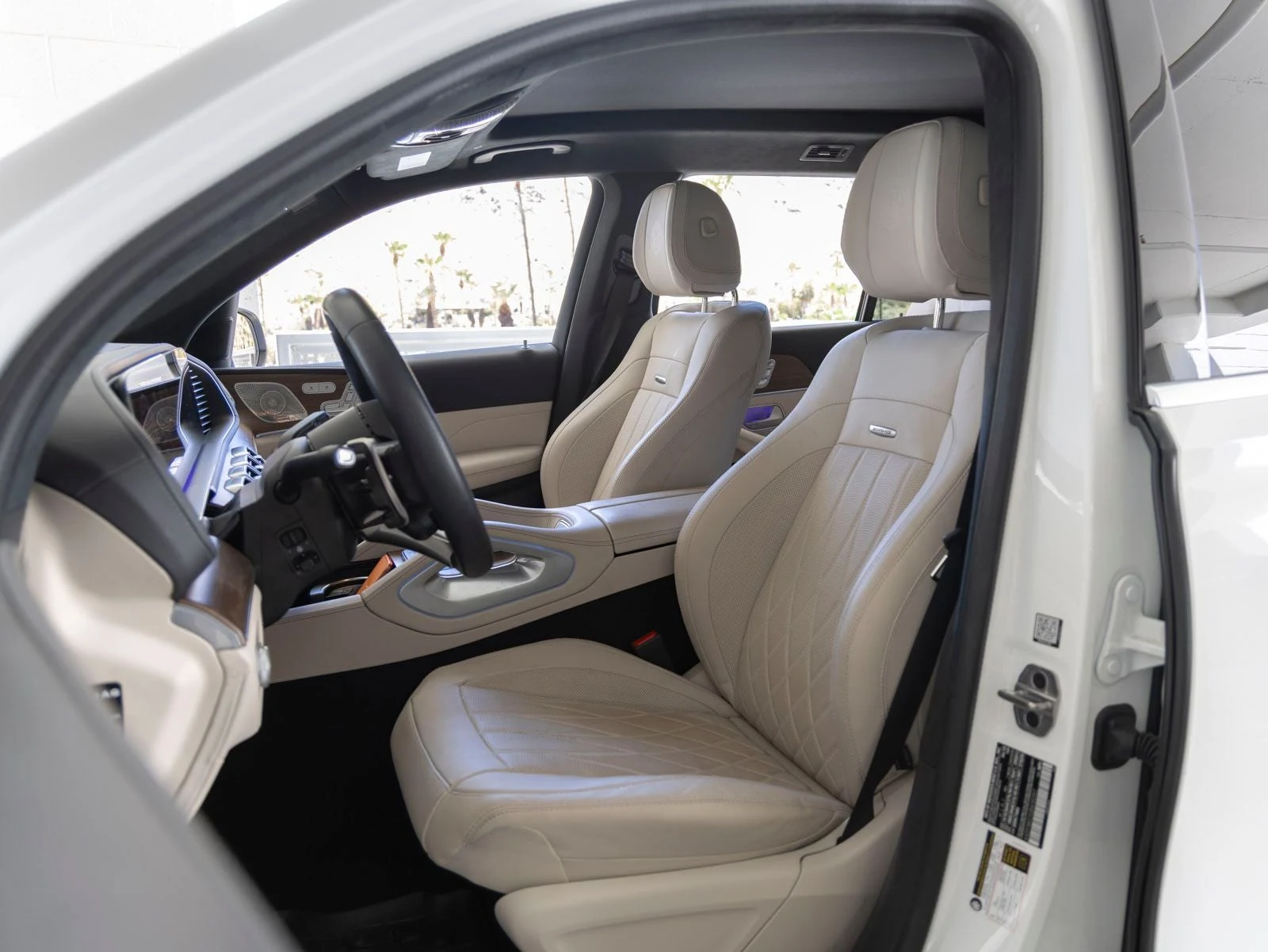 2025 Mercedes-Benz AMG GLS 63 4MATIC (X167), 10/20