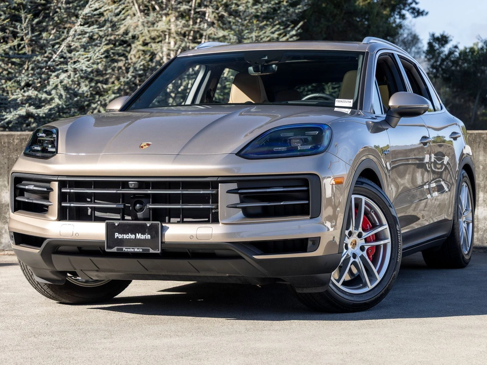 Porsche Cayenne S E-Hybrid (3rd Generation) · Paint To Sample: Palladiummetallic · Indigo Auto Group