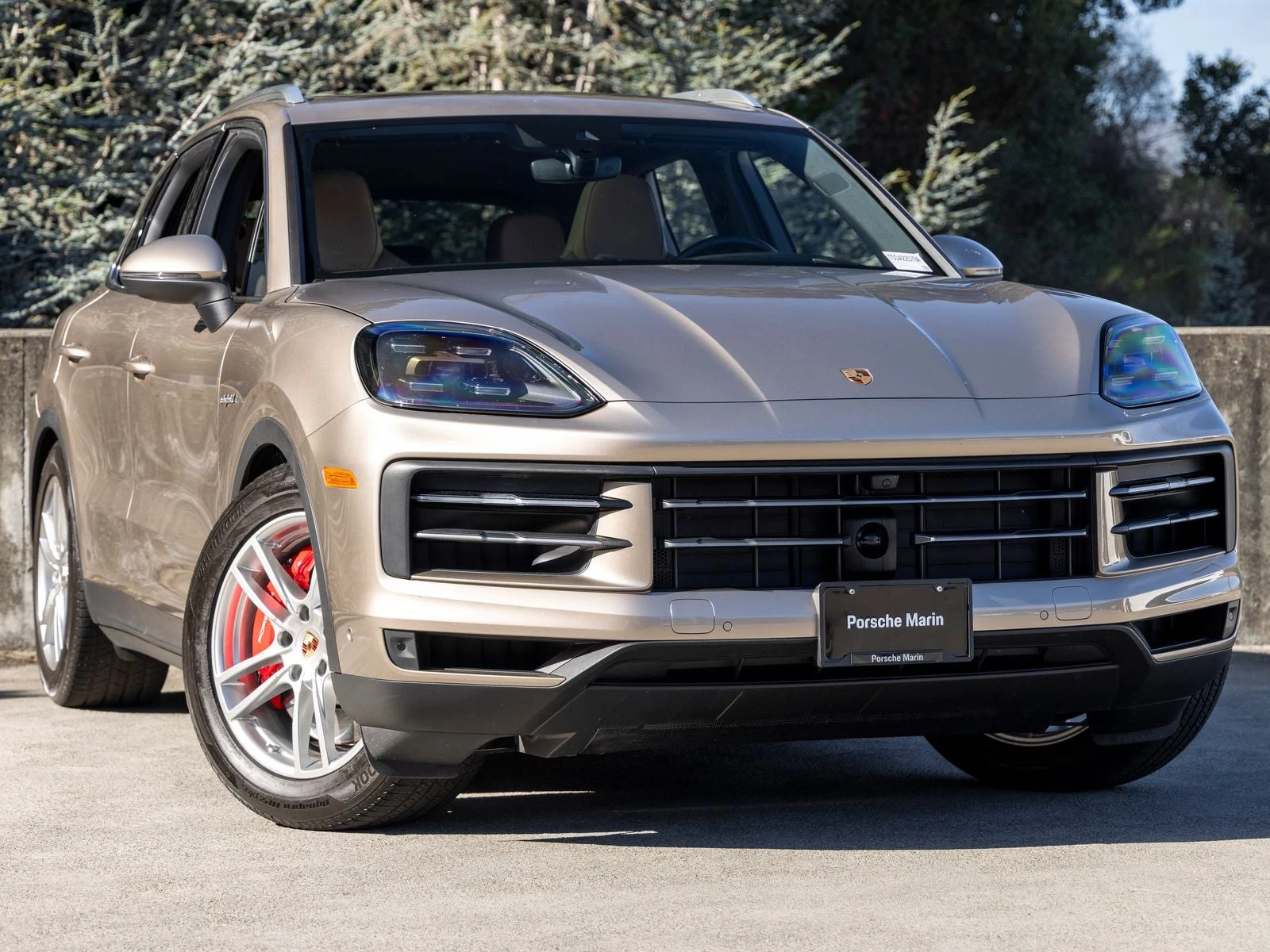 2025 Porsche Cayenne S E-Hybrid (3rd Generation), 6/20