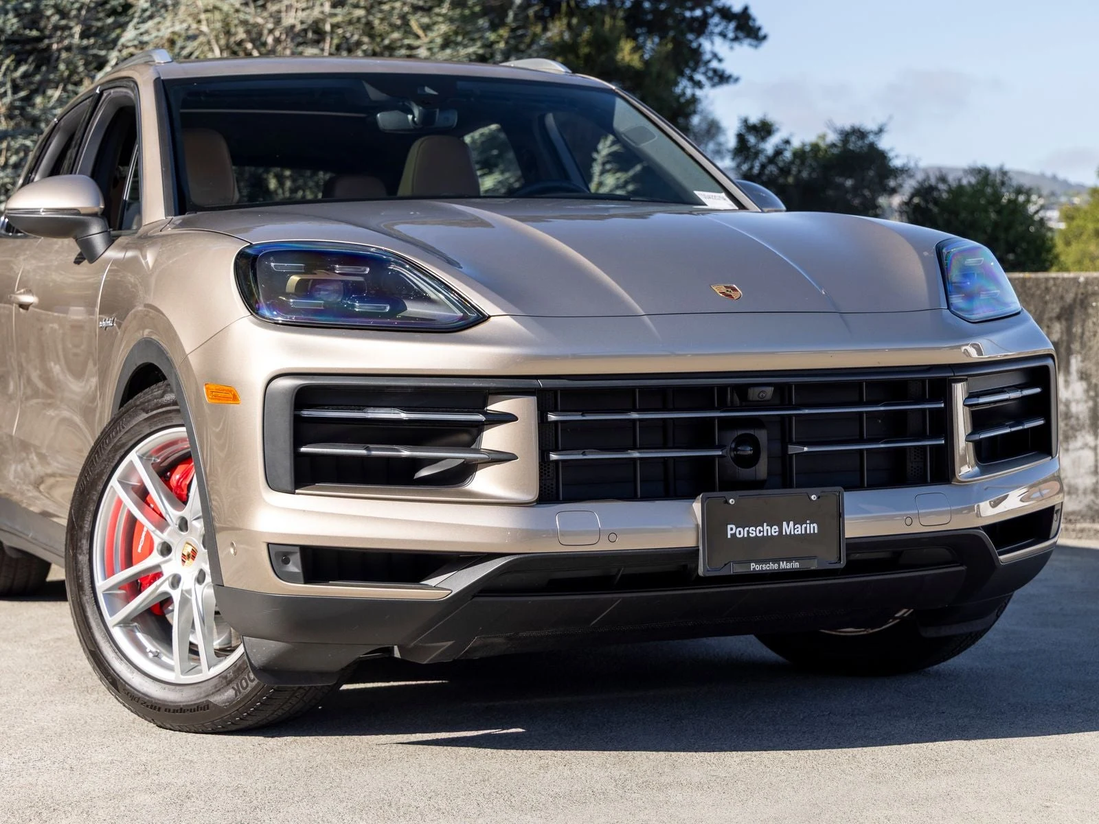 2025 Porsche Cayenne S E-Hybrid (3rd Generation), 9/20