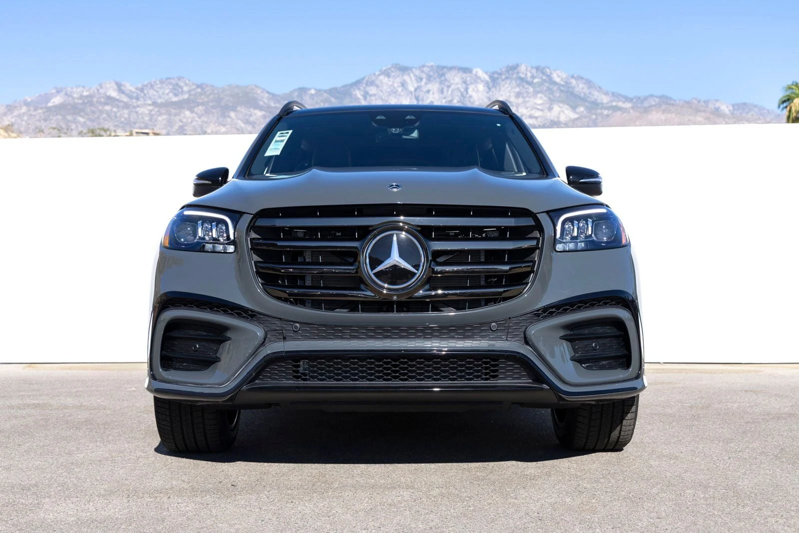 2026 Mercedes-Benz GLS 450 4MATIC (X167), 4/20
