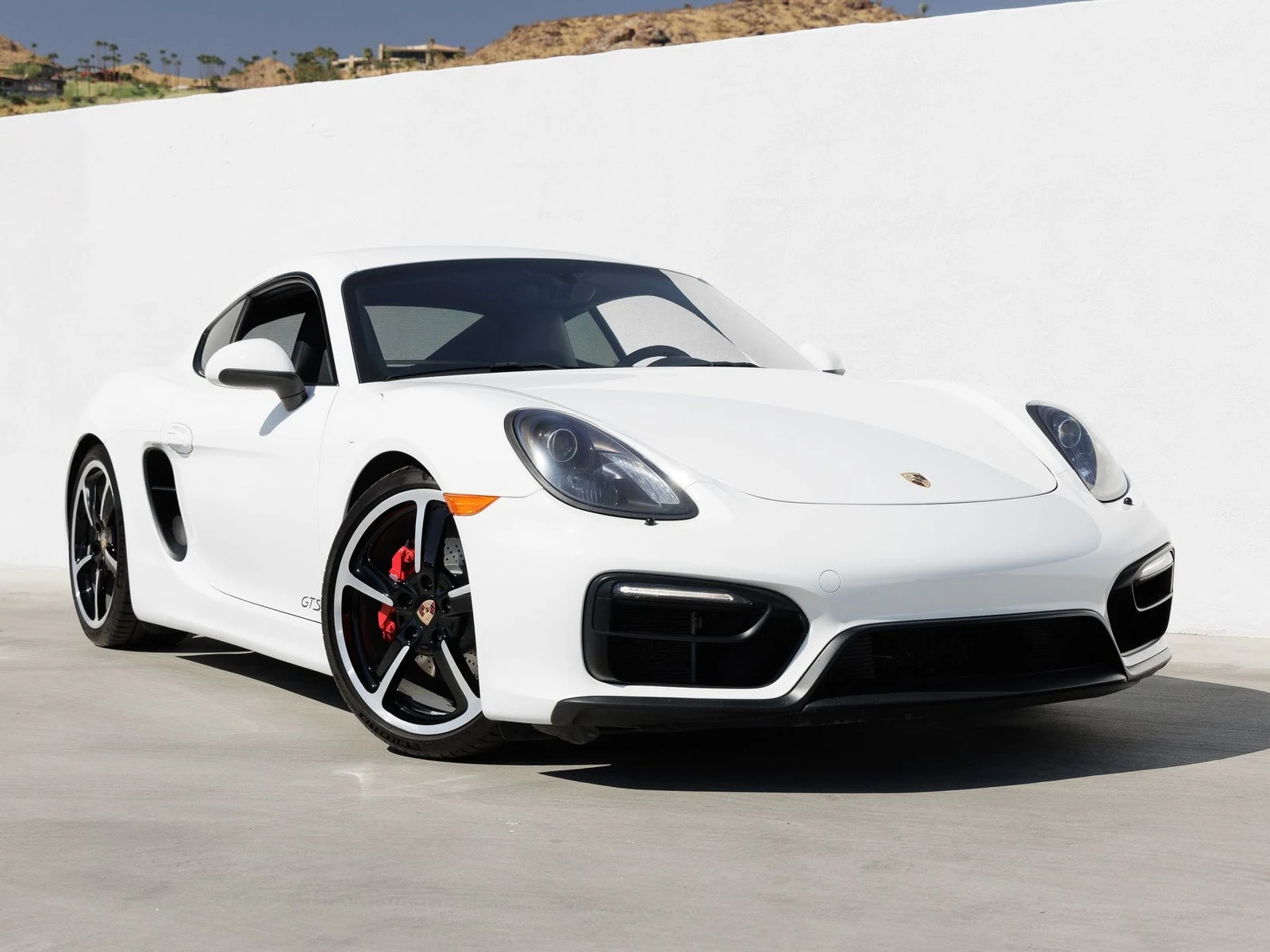 2015 Porsche Cayman GTS (981), 9/20
