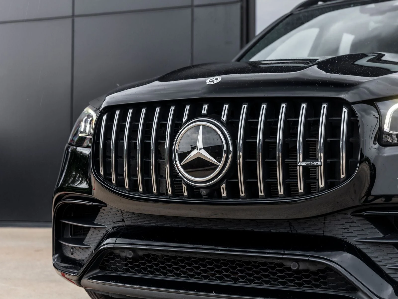 2021 Mercedes-Benz AMG GLS 63 4MATIC (X167), 15/20