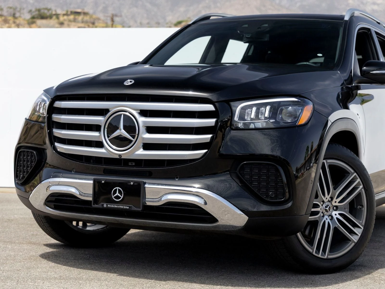 2024 Mercedes-Benz GLS 450 4MATIC (X167), 2/20
