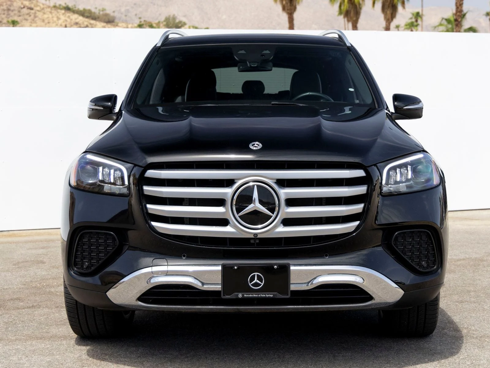 2024 Mercedes-Benz GLS 450 4MATIC (X167), 3/20