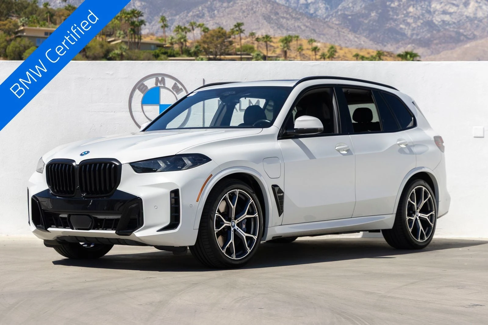 BMW X5 xDrive50e (G05) · Alpine White · Indigo Auto Group