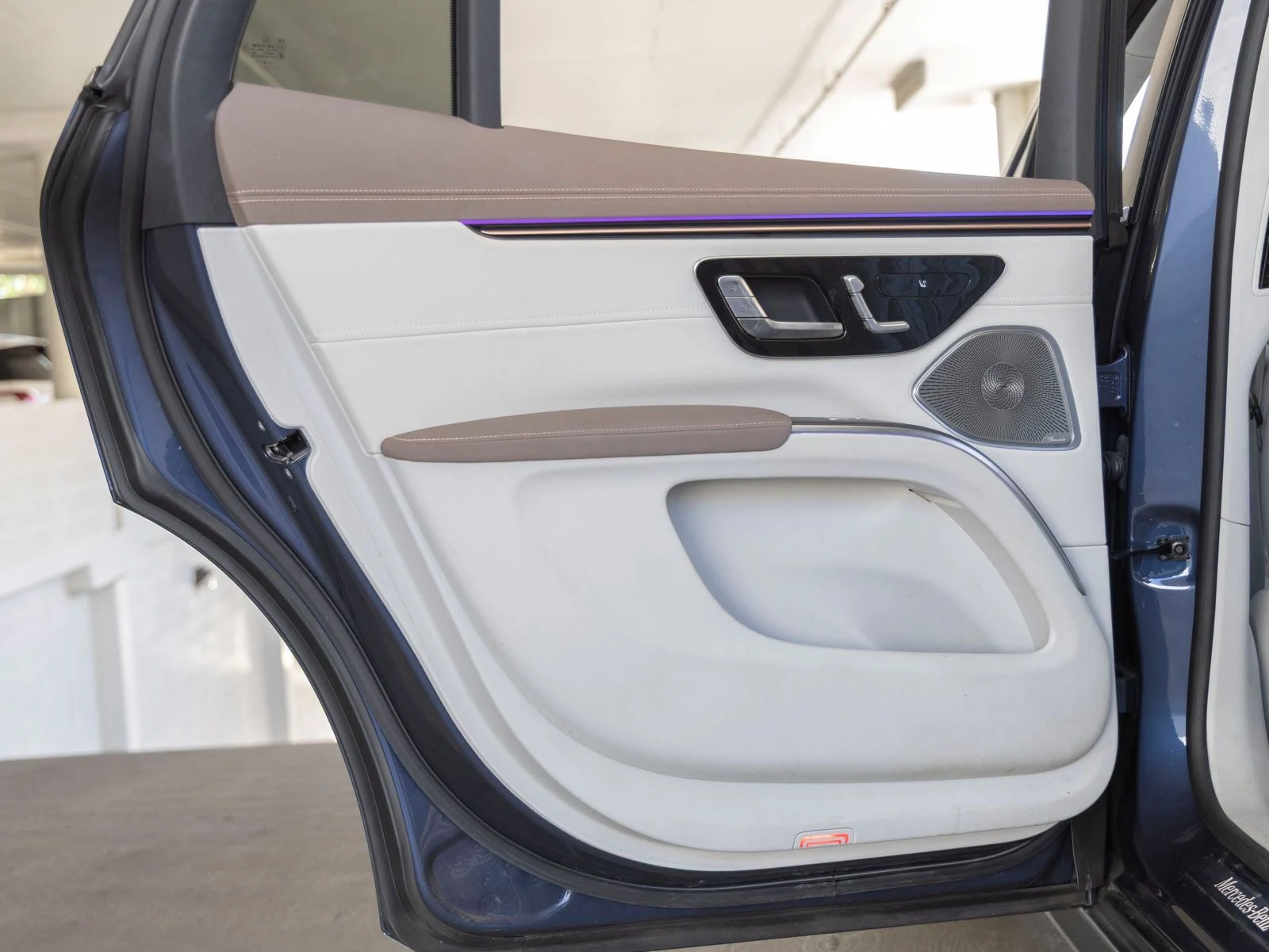 2023 Mercedes-Benz EQS 450 4MATIC SUV (X296), 16/20