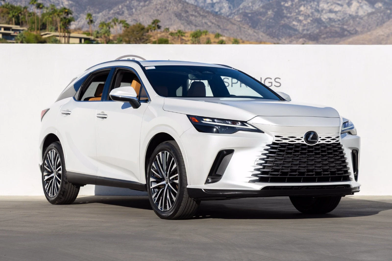 2023 Lexus RX 350 Premium Plus (5th Generation), 2/20