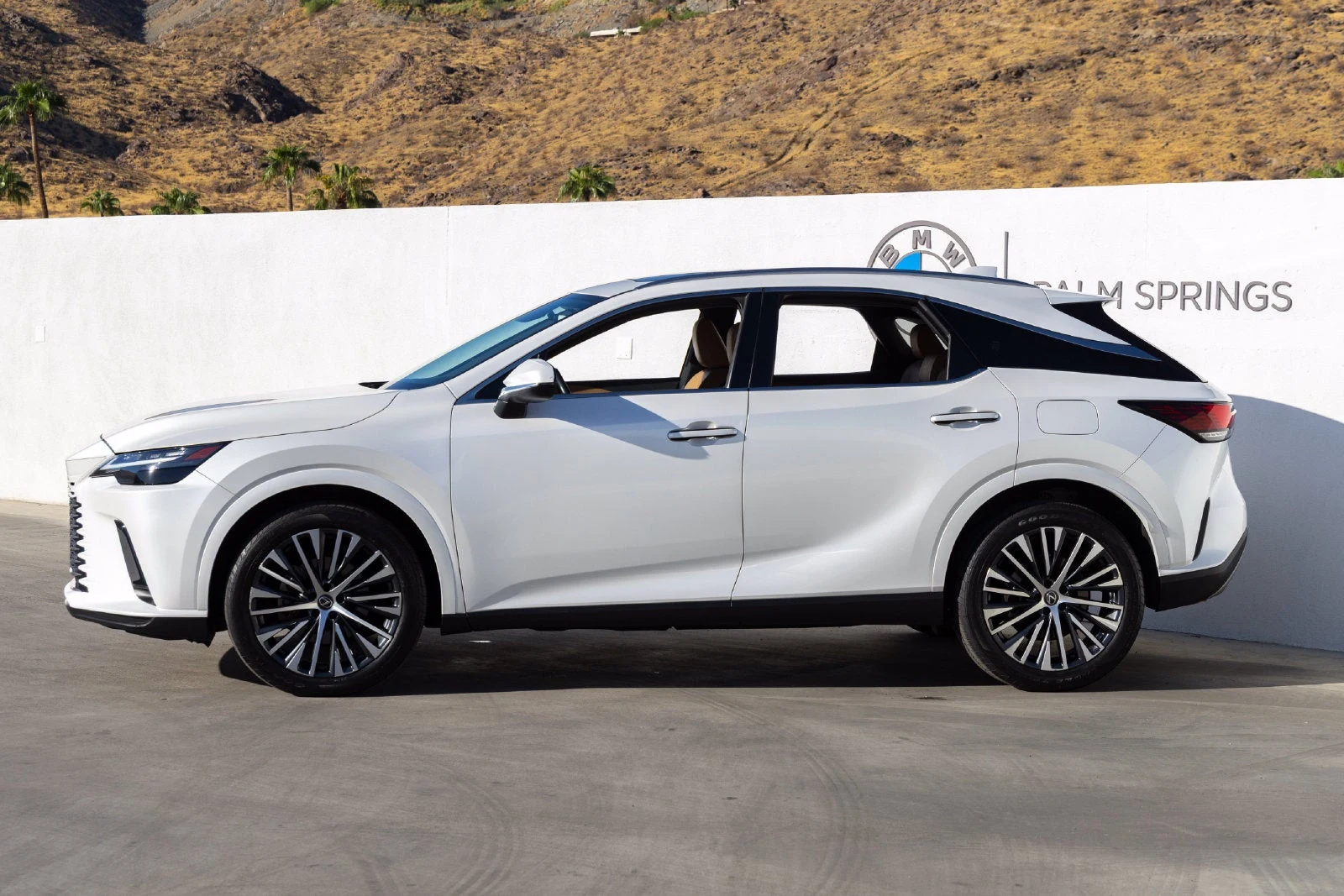 2023 Lexus RX 350 Premium Plus (5th Generation), 3/20
