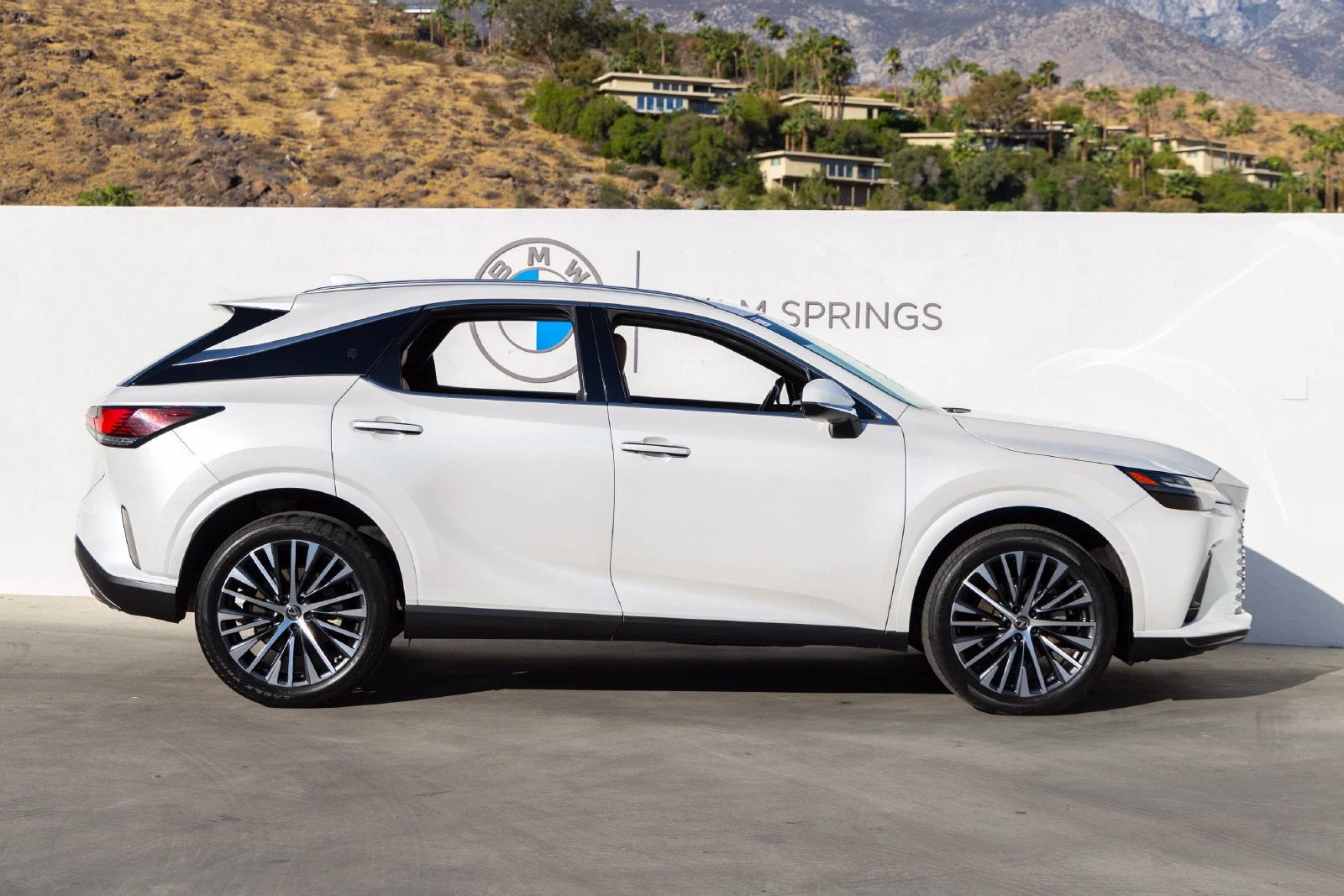 2023 Lexus RX 350 Premium Plus (5th Generation), 6/20