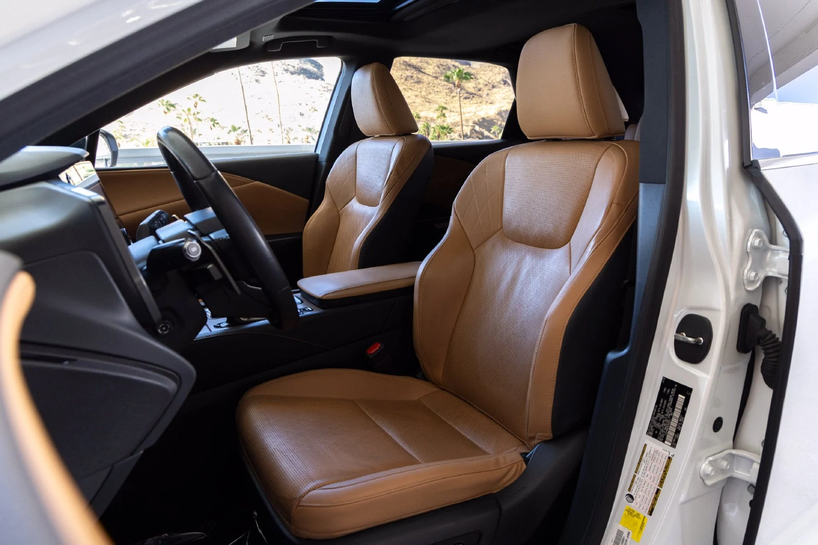 2023 Lexus RX 350 Premium Plus (5th Generation), 19/20