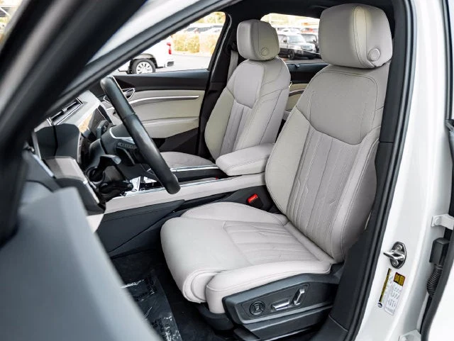 2024 Audi Q8 Sportback e-tron Prestige S line, 14/20
