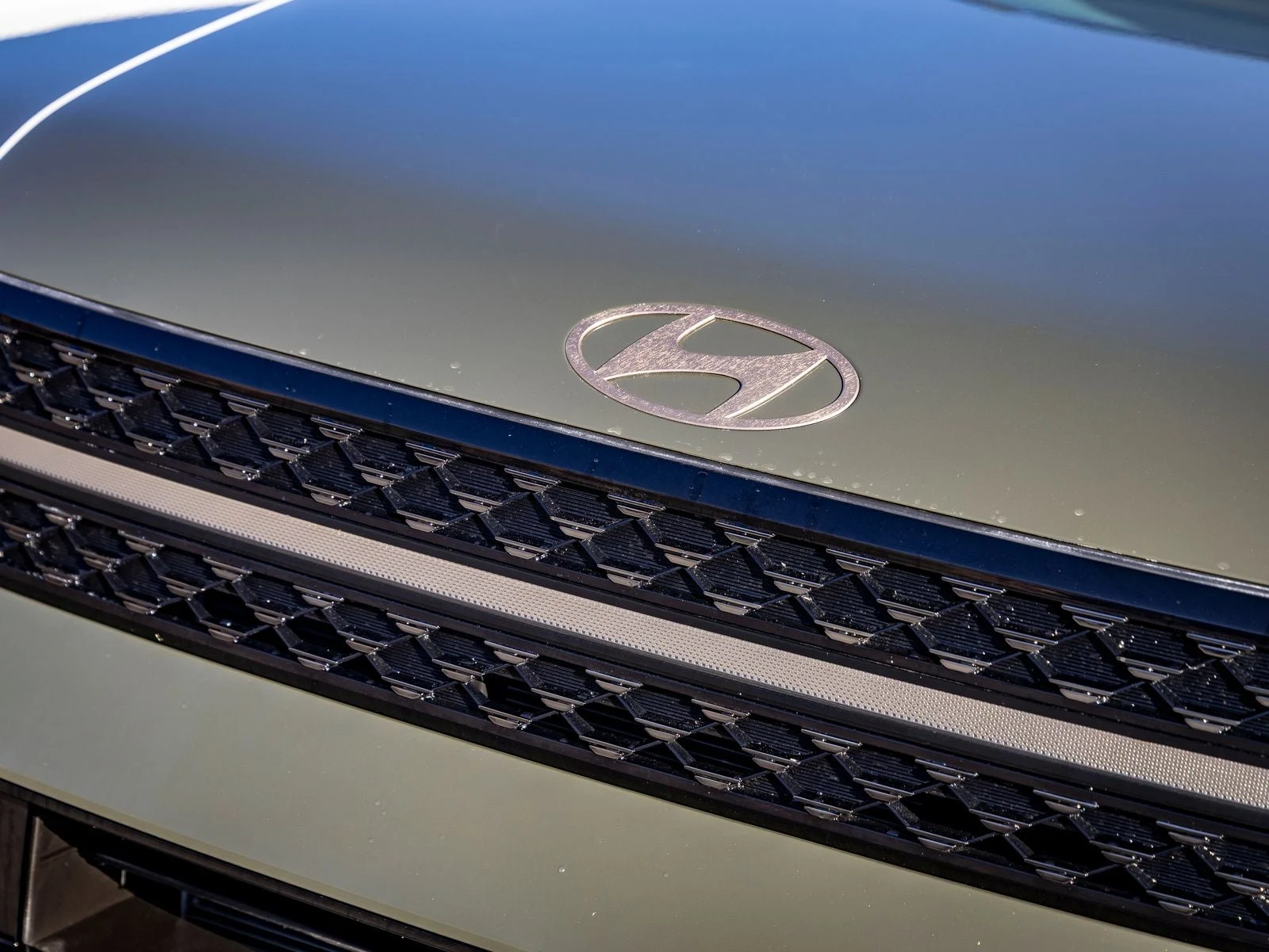 2025 Hyundai Santa Fe Calligraphy (MX5), 3/20