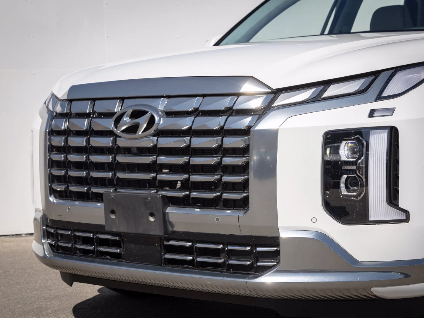 2024 Hyundai Palisade Calligraphy (1st Generation), 3/20