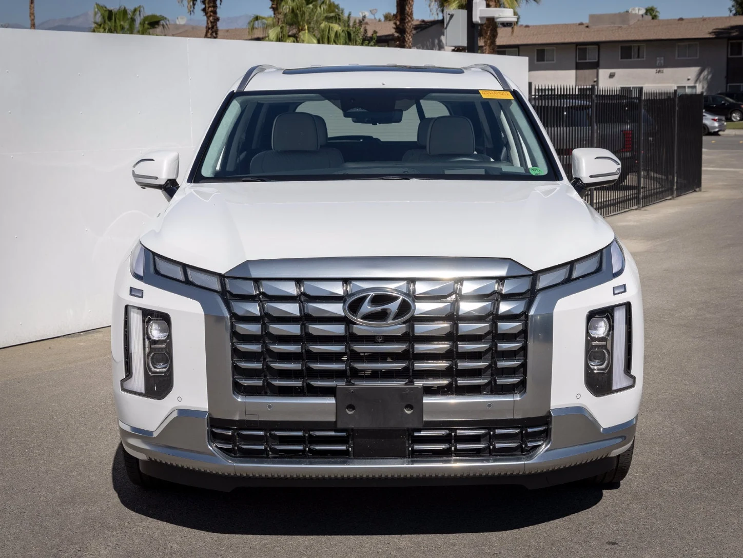 2024 Hyundai Palisade Calligraphy (1st Generation), 4/20