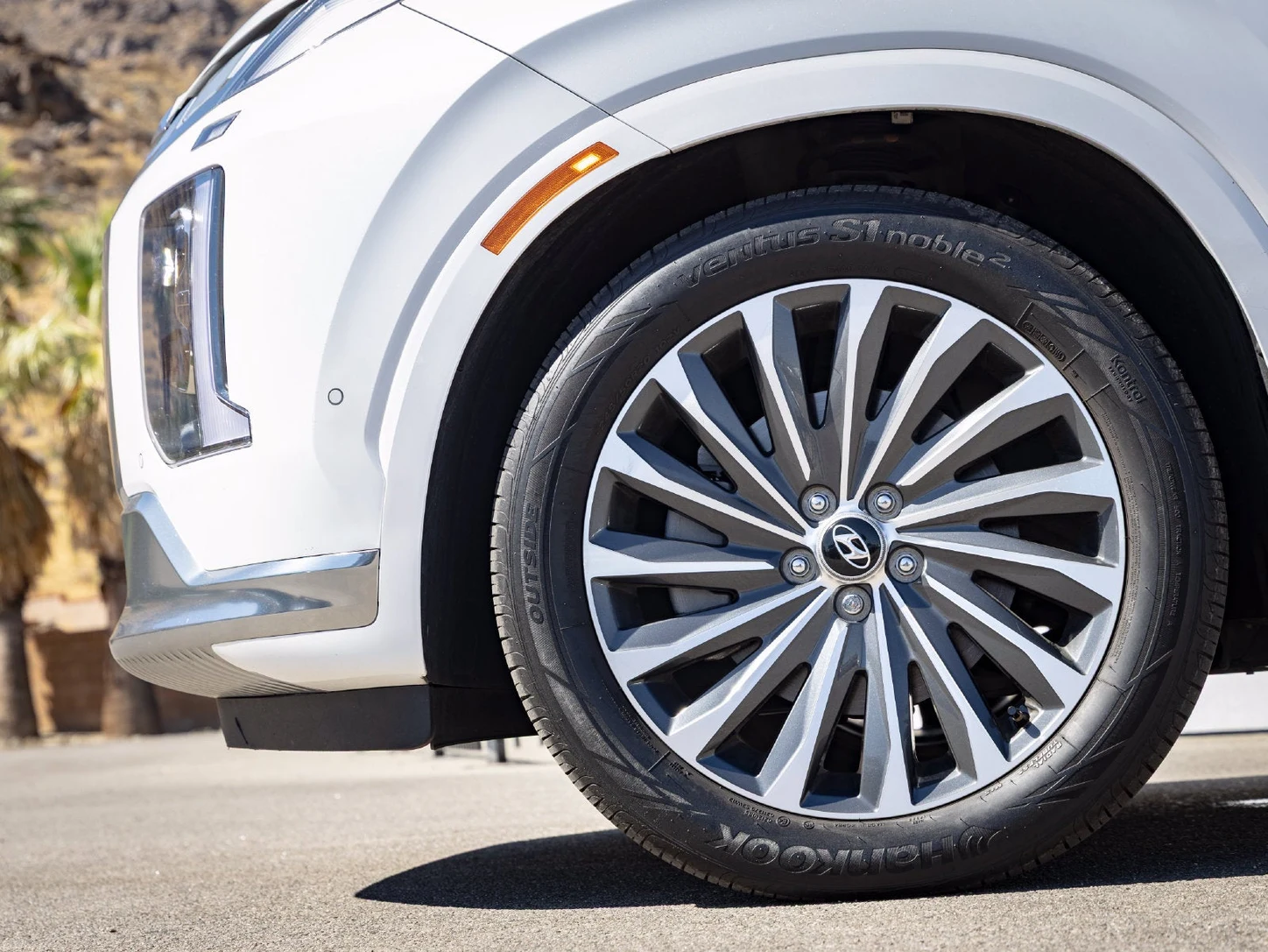 2024 Hyundai Palisade Calligraphy (1st Generation), 5/20