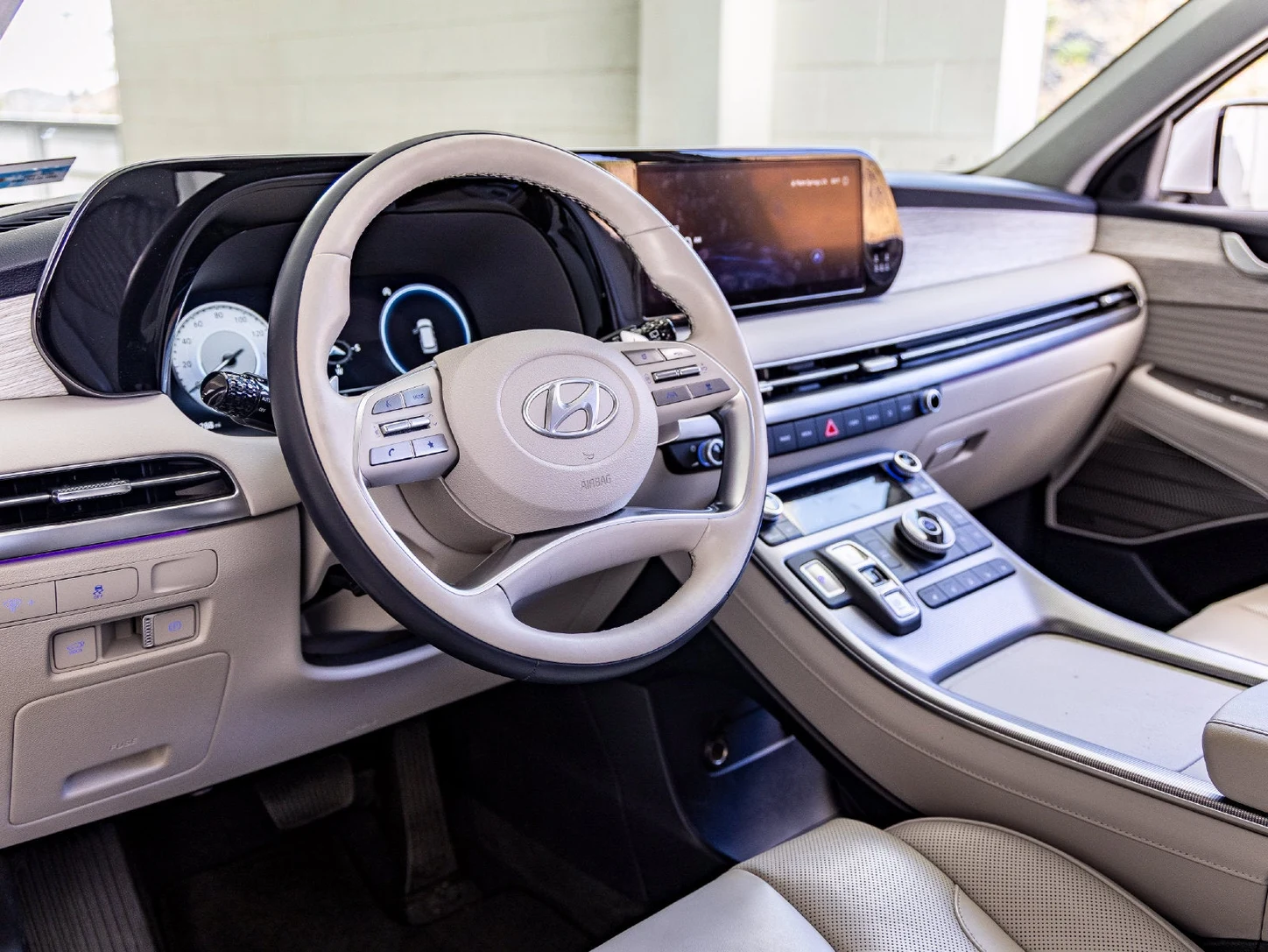 2024 Hyundai Palisade Calligraphy (1st Generation), 16/20