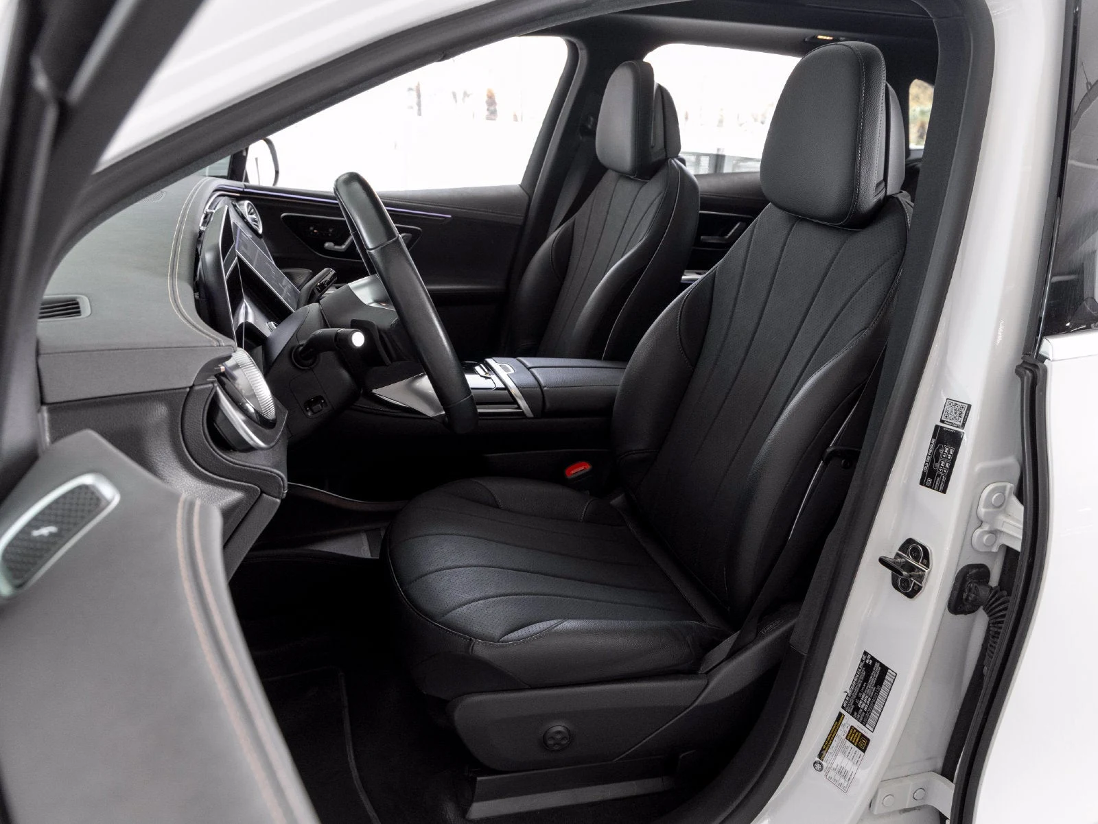 2023 Mercedes-Benz EQE 350+ SUV (X294), 10/20