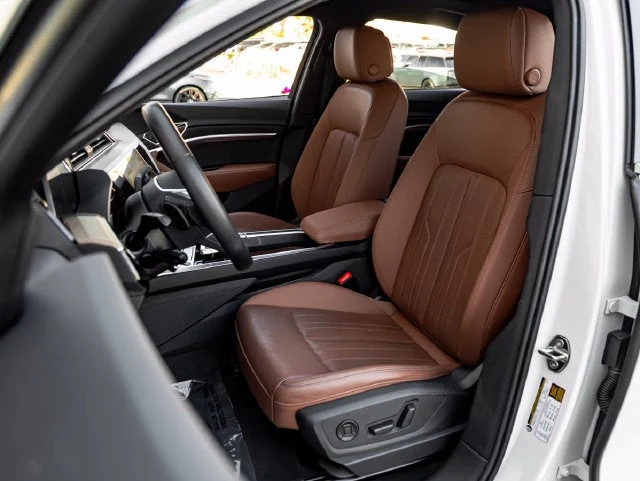 2024 Audi Q8 Sportback e-tron Premium Plus S line, 14/20