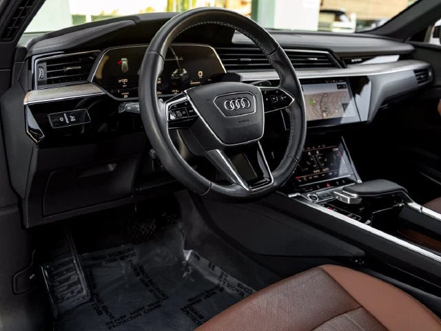 2024 Audi Q8 Sportback e-tron Premium Plus S line, 18/20