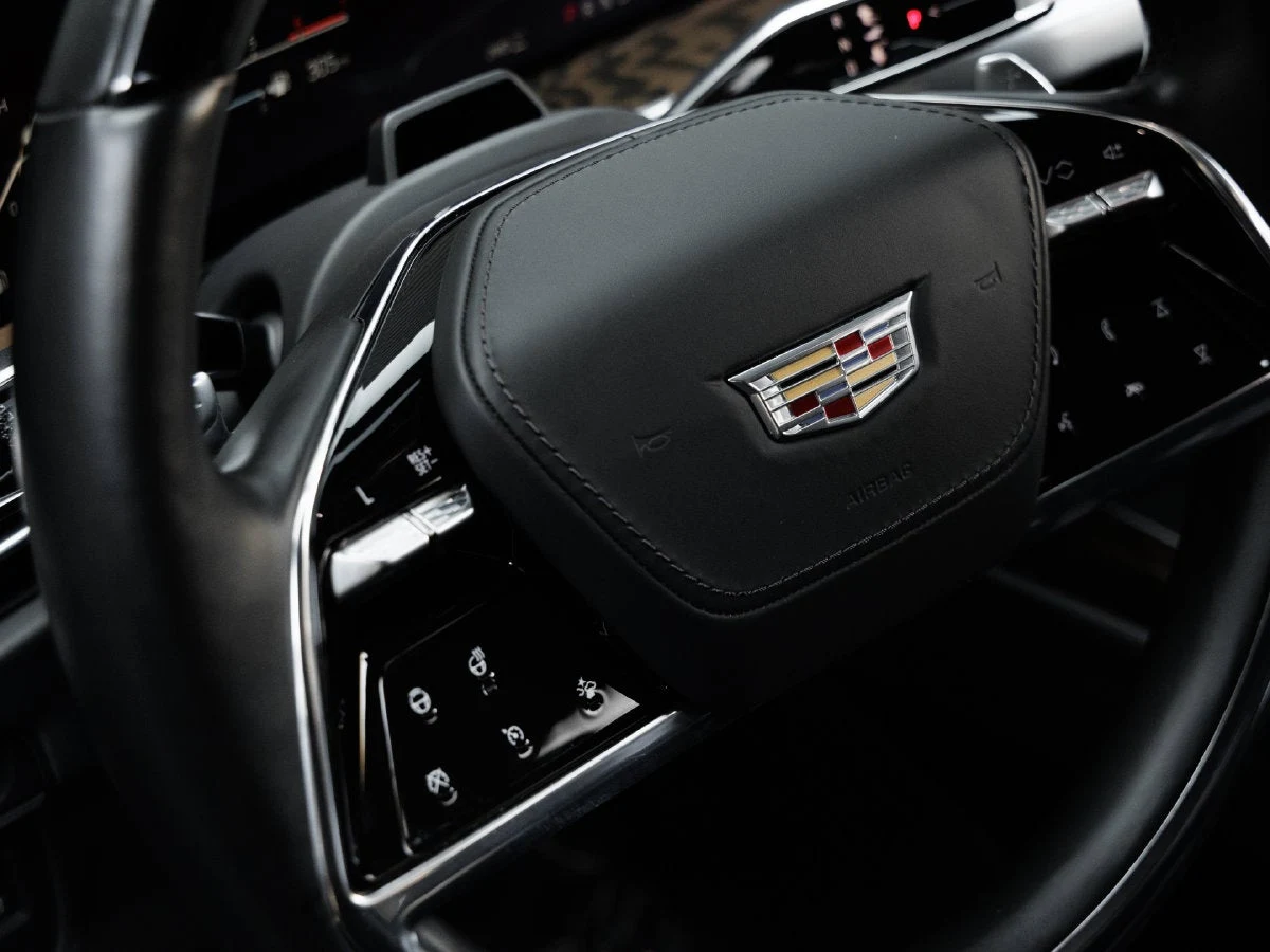2025 Cadillac Escalade ESV Premium Luxury Platinum (5th Generation), 18/20