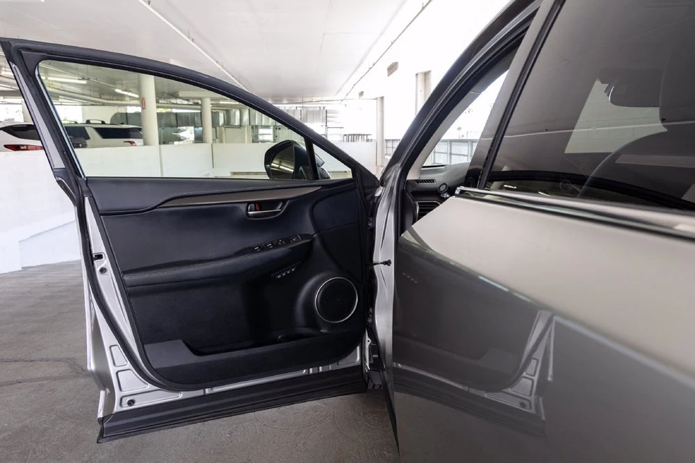 2020 Lexus NX 300h (AZ10), 13/20