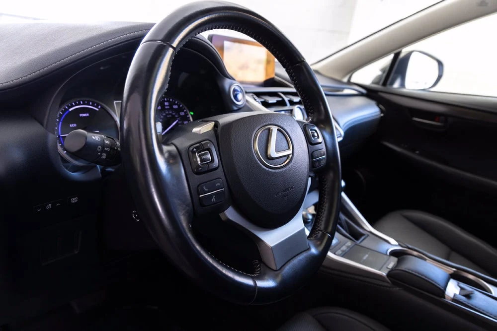 2020 Lexus NX 300h (AZ10), 16/20