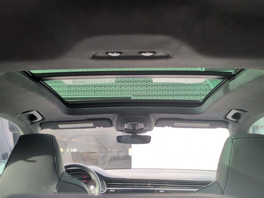 2025 Audi RS Q8 performance interior, door panel