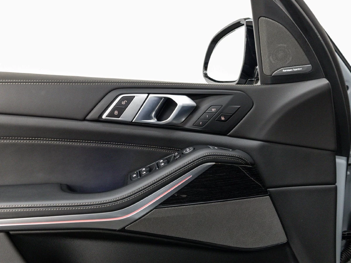 2026 BMW X5 xDrive50e interior, door panel, Black Sensafin with decorative stitching