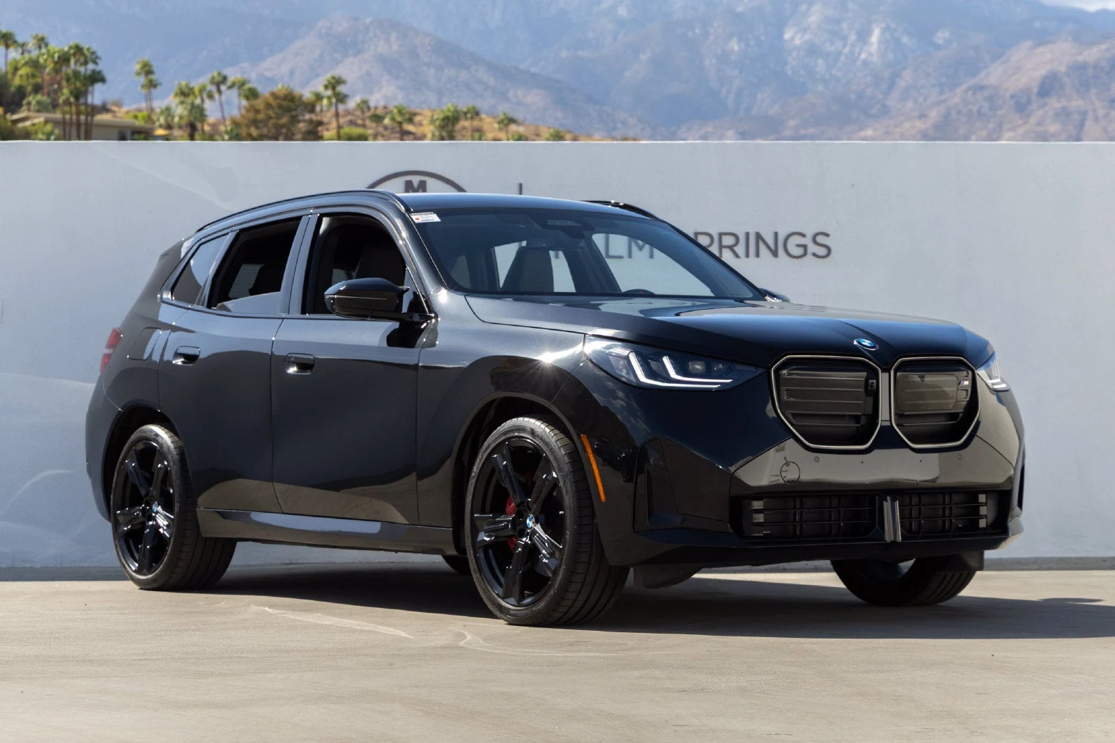 2025 BMW X3 M50 xDrive, exterior view