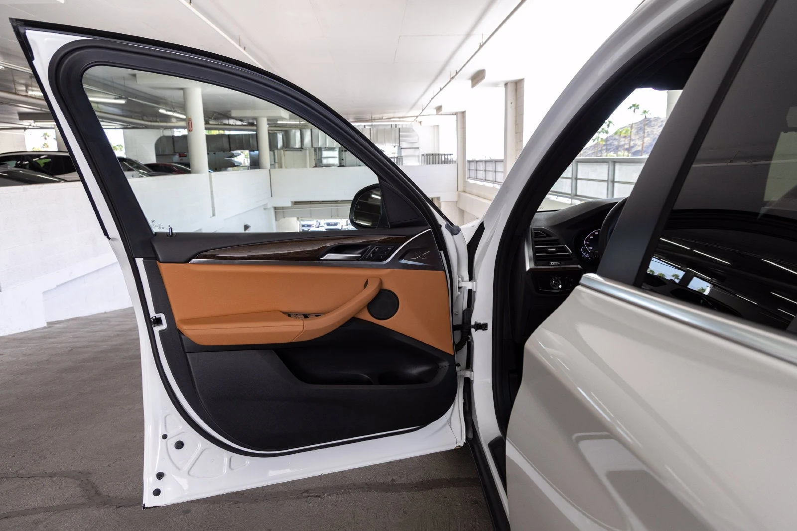 2023 BMW X3 sDrive30i interior, door panel, Cognac