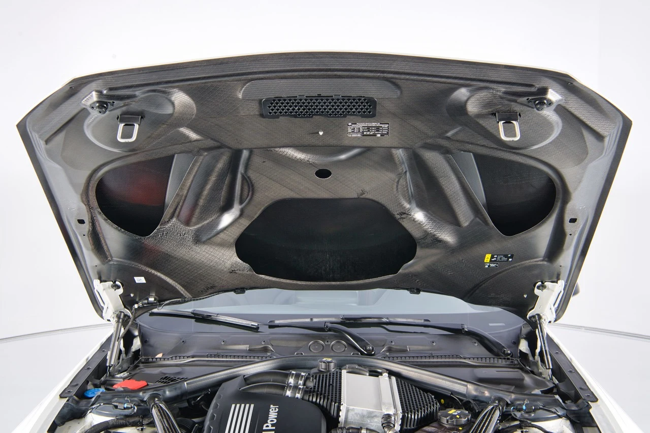 2020 BMW M2 CS (F87), 17/30