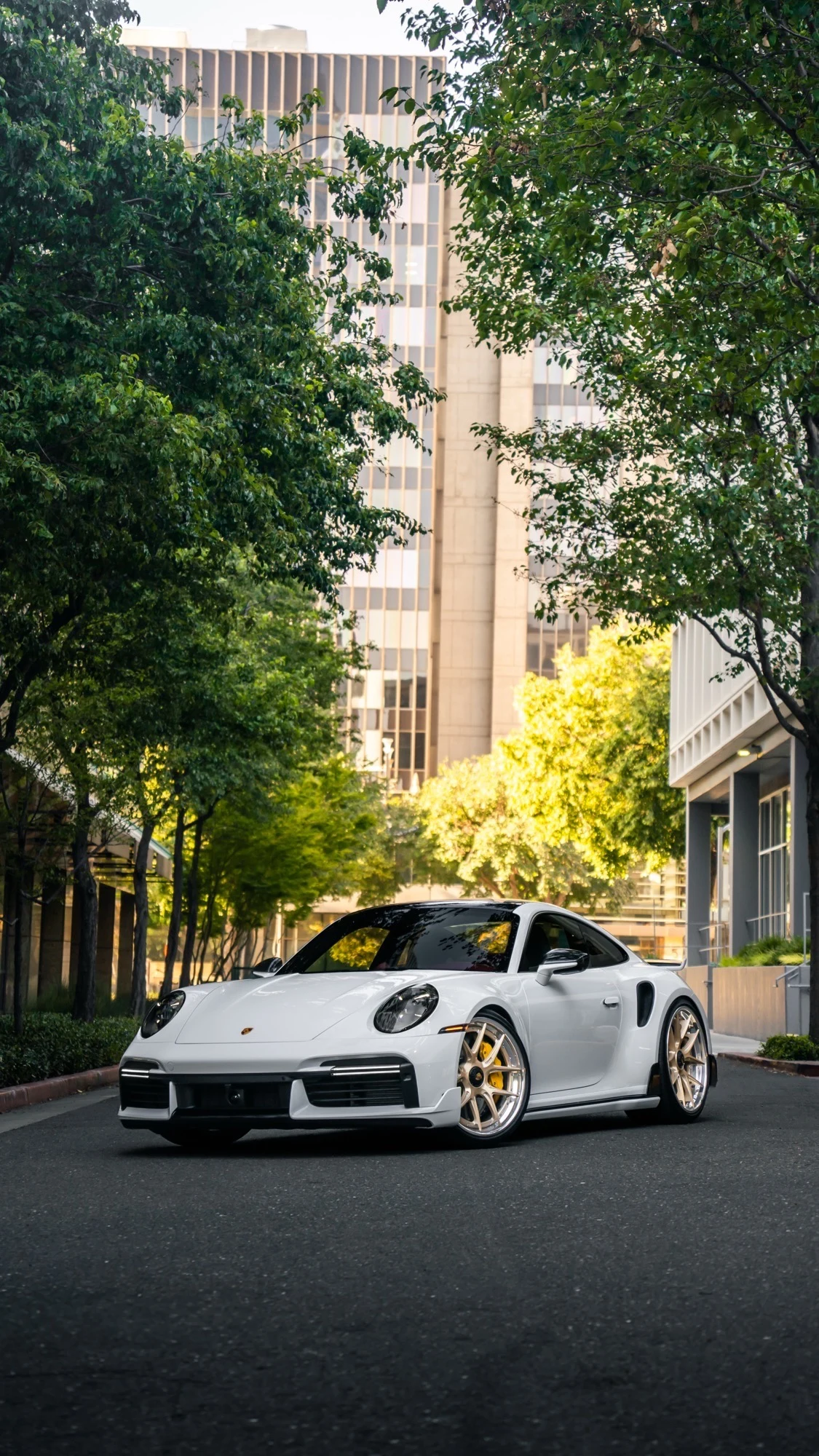2022 Porsche 911 (992.1) Turbo S, 22/27