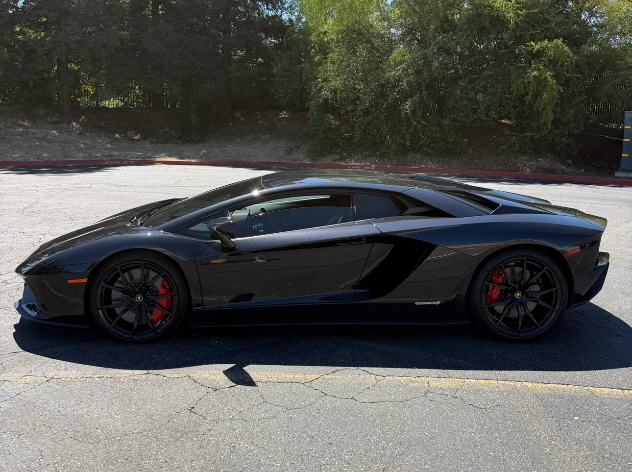 2018 Lamborghini Aventador S, 7/19