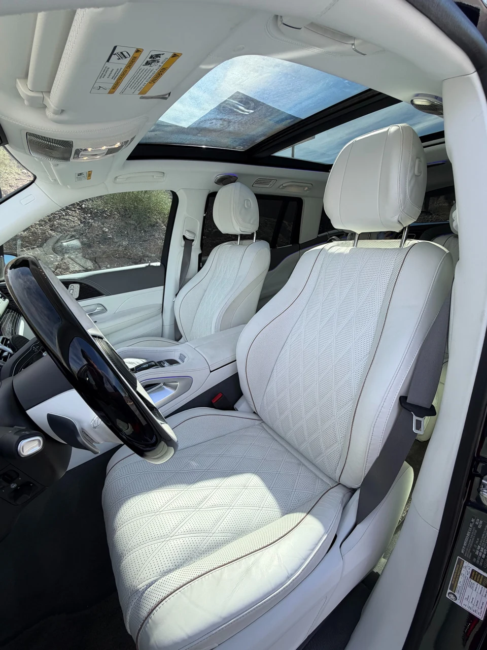 2024 Mercedes-Benz Mercedes-Maybach GLS 600 4MATIC (X167), 8/14