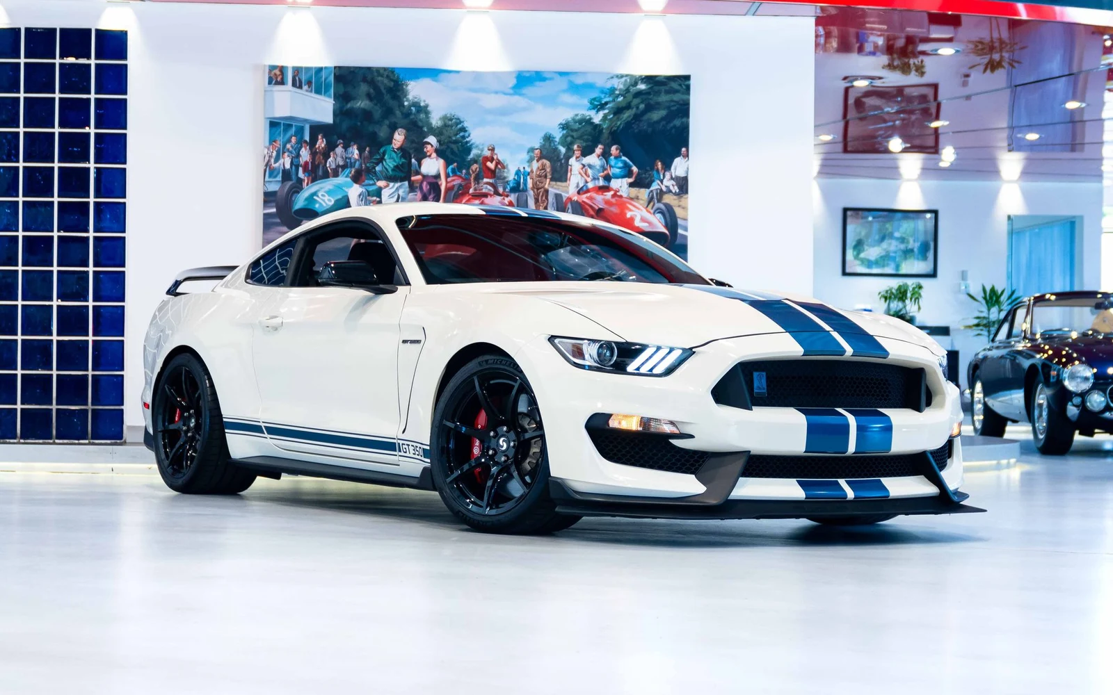 Ford Mustang Shelby GT350R Heritage Edition, 6/10