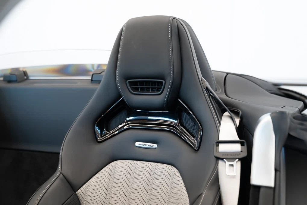 2020 Mercedes-AMG GT R Roadster (R190), 21/23